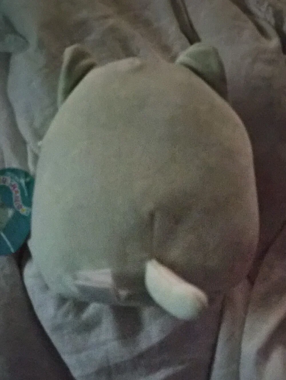 Squishmallows Cream Gray Cat Plush Pillow with Pink Nose